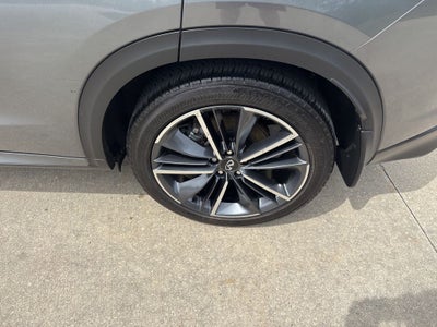2024 INFINITI QX50 SPORT