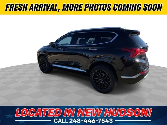 2023 Hyundai Santa Fe Calligraphy
