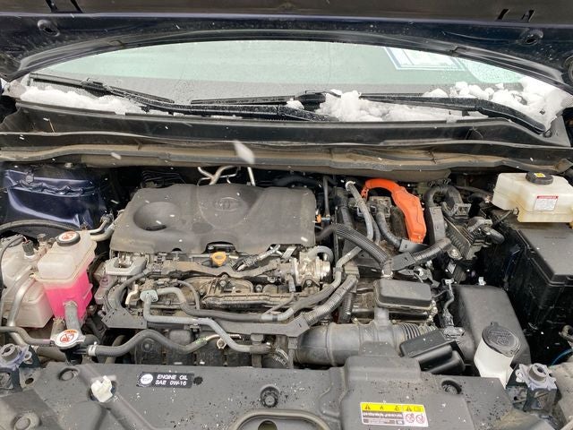 2022 Toyota Sienna XLE 7 Passenger