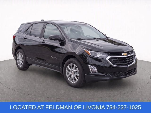 Used 2019 Chevrolet Equinox LS with VIN 2GNAXHEV5K6243579 for sale in Livonia, MI