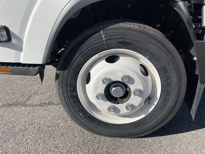 2024 Chevrolet Low Cab Forward 5500 XG 2WD Reg Cab 176