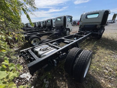 2024 Chevrolet Low Cab Forward 5500 XG NA