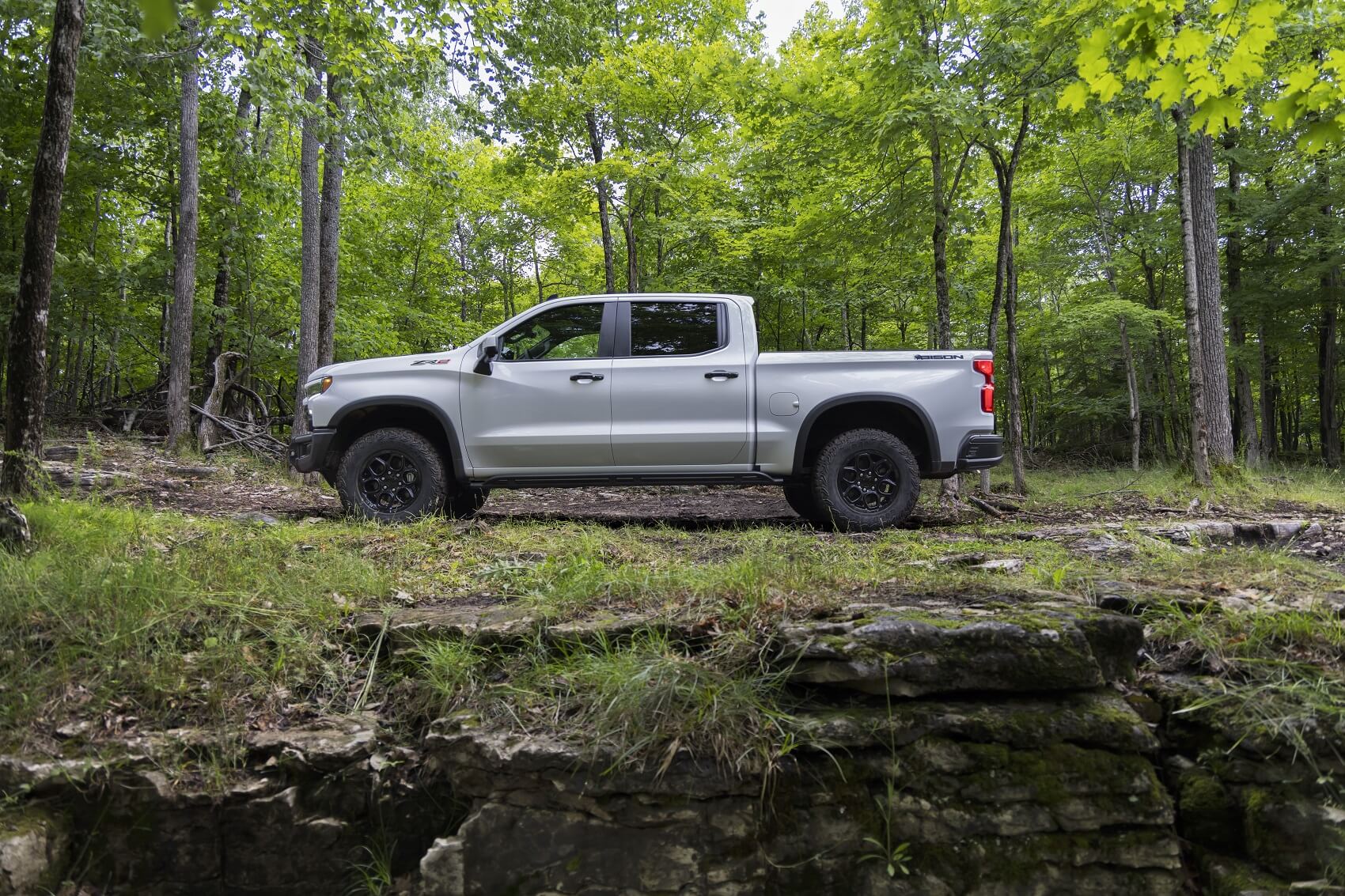 silver chevy truck parked in forest area
