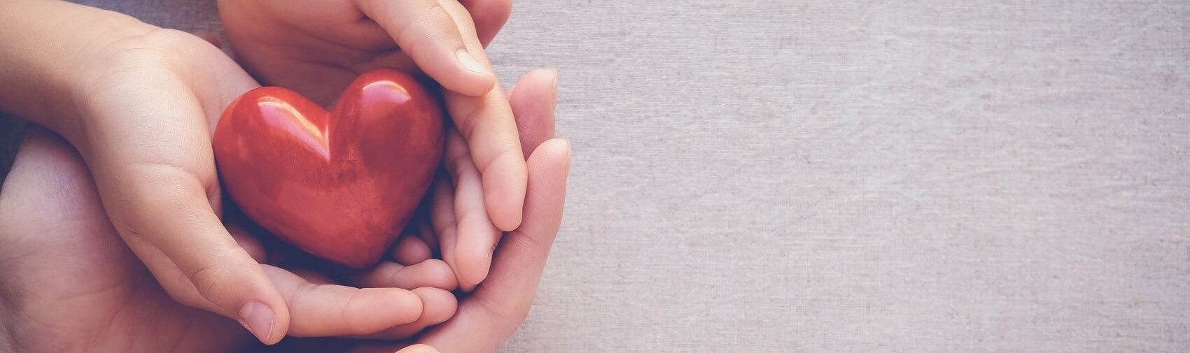 Feldman Chevy of Livonia Cares